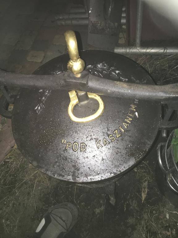 Bed and Breakfast Pod Kasztanem Свиноуйсьце Экстерьер фото